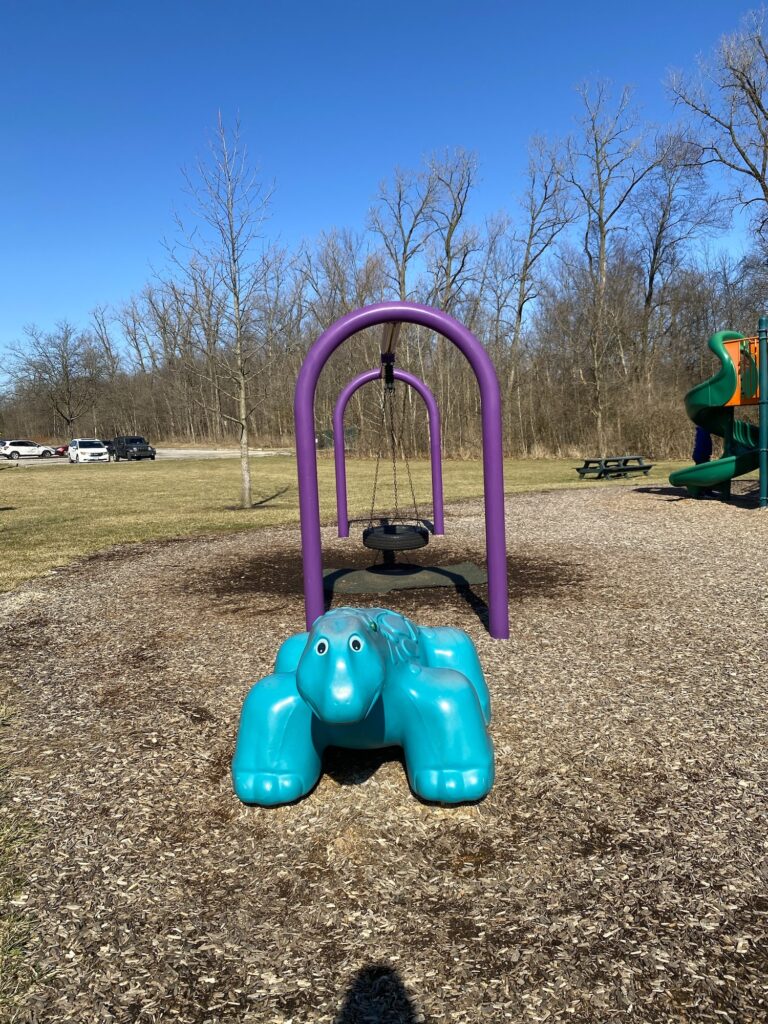 A dinosaur play structure and tire swing.