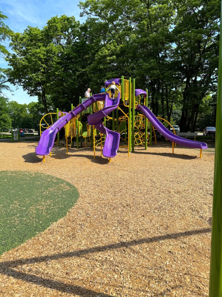 A large play structure at Whetstone Park with several slides.