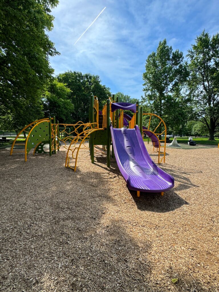 A double slide at Whetstone Park.