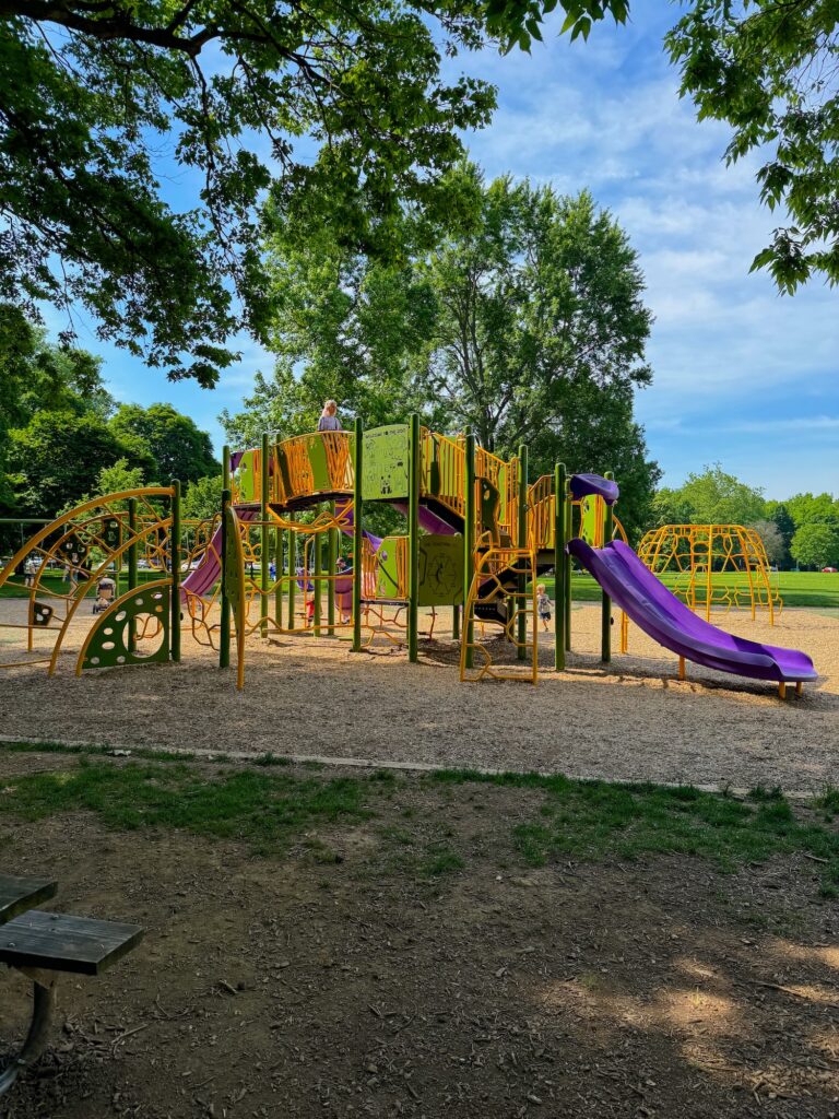 The main playground equipment at Whetstone Park.
