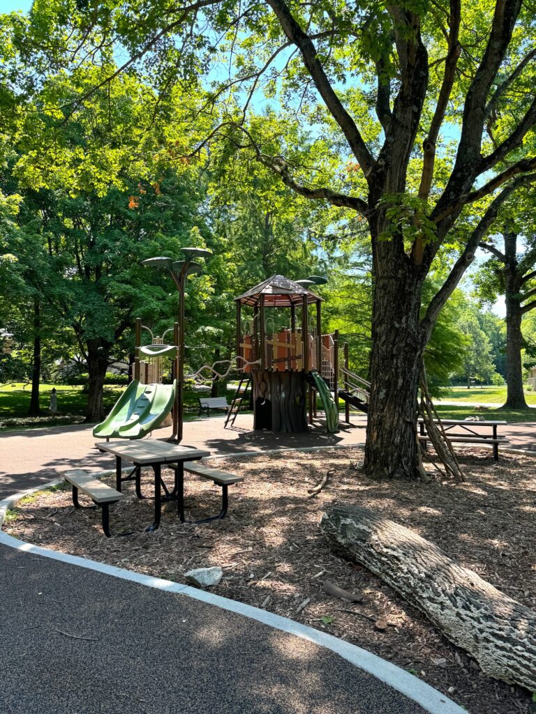 Two picnic tables and the treehouse play structure.