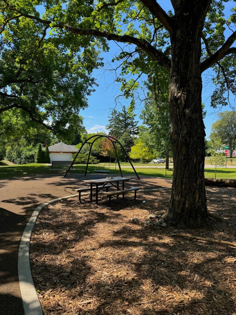 A shady picnic table and bucket swing in the background.