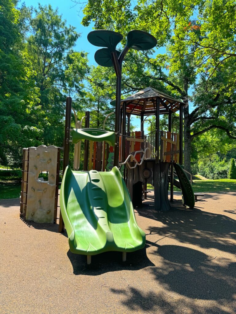 A double slide for kids at Oxford Park.